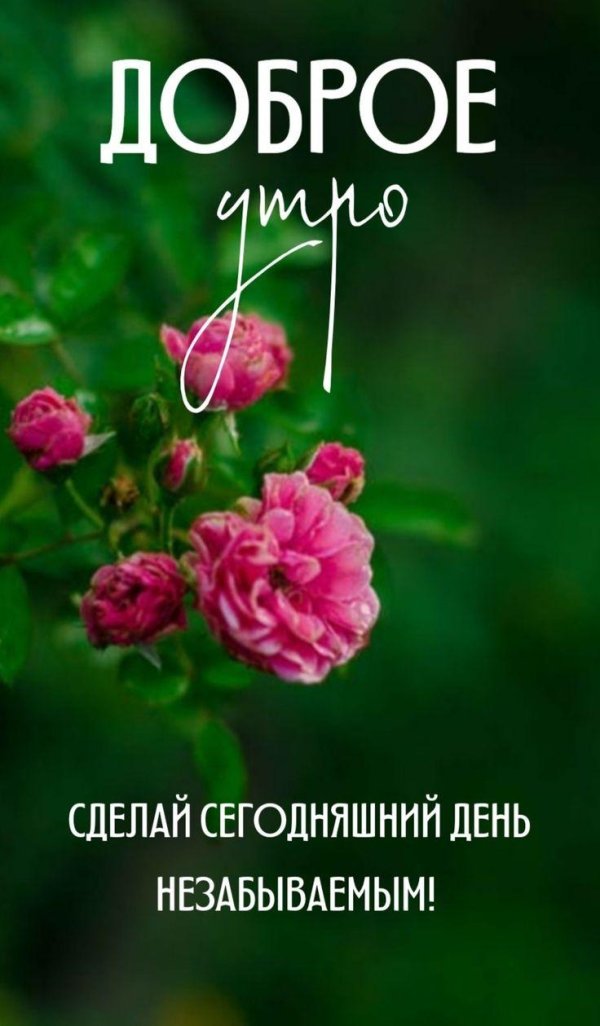 доброе утро радости