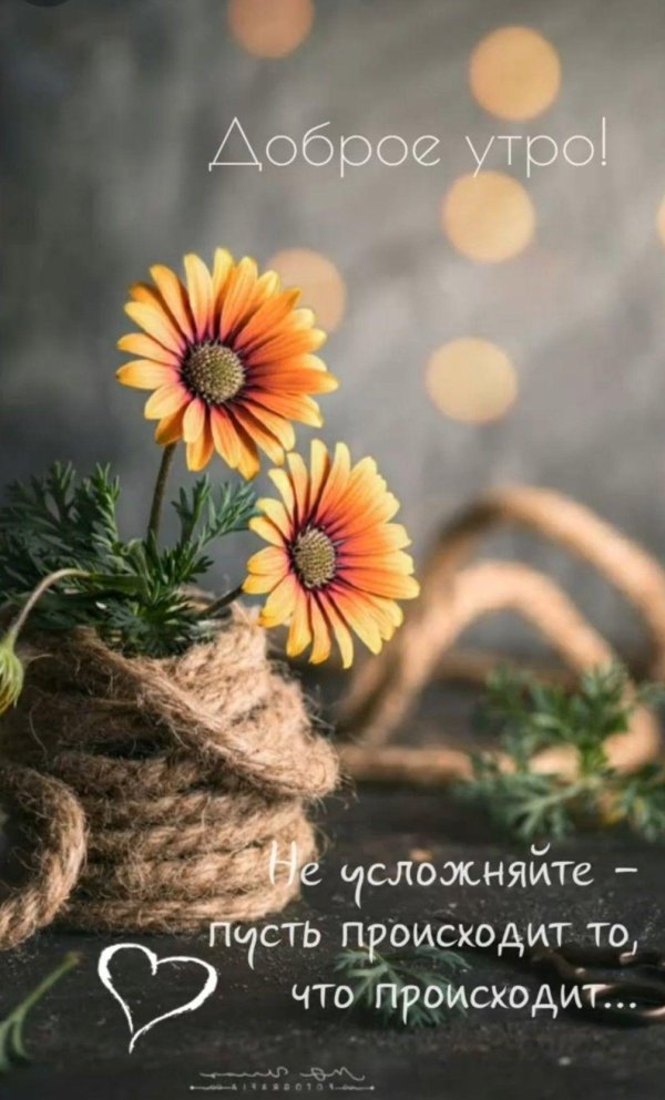 стильные пожелания с добрым утром