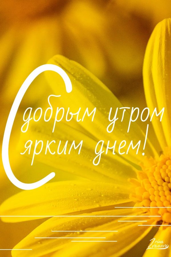 цветок желтый