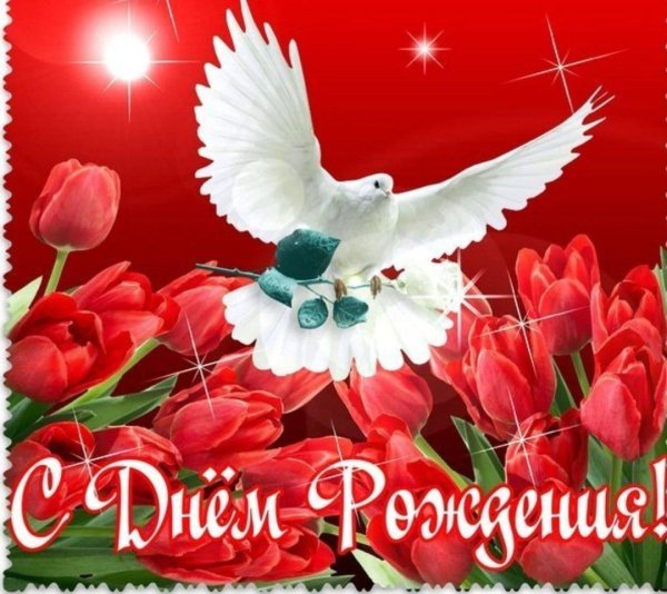 голуби мира