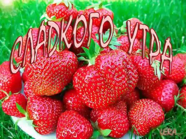 доброе утро ягодка