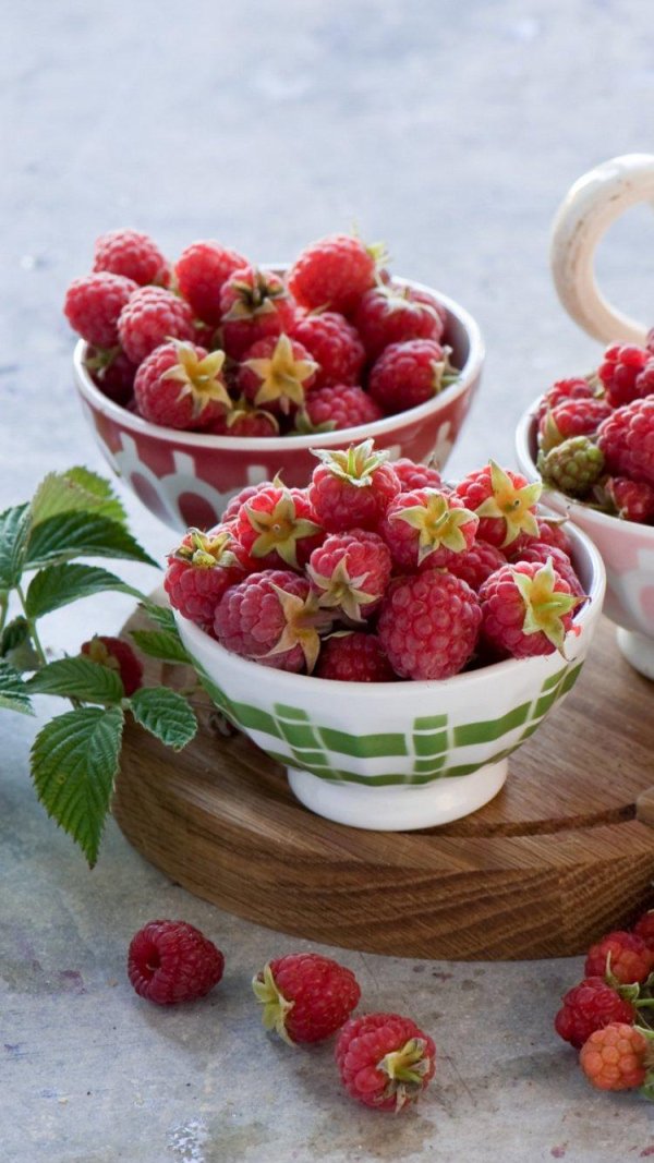 морс малина ежевика