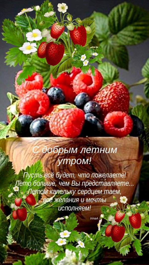 с добрым июльским утром красивые