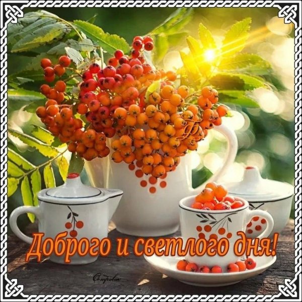 доброго дня рябина