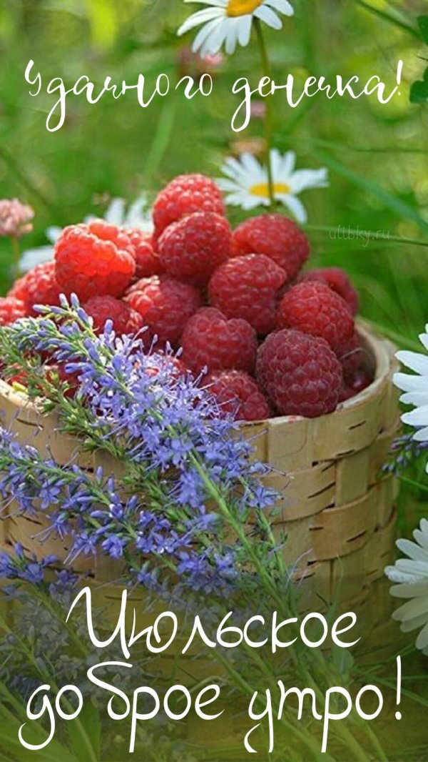 доброго июльского утра