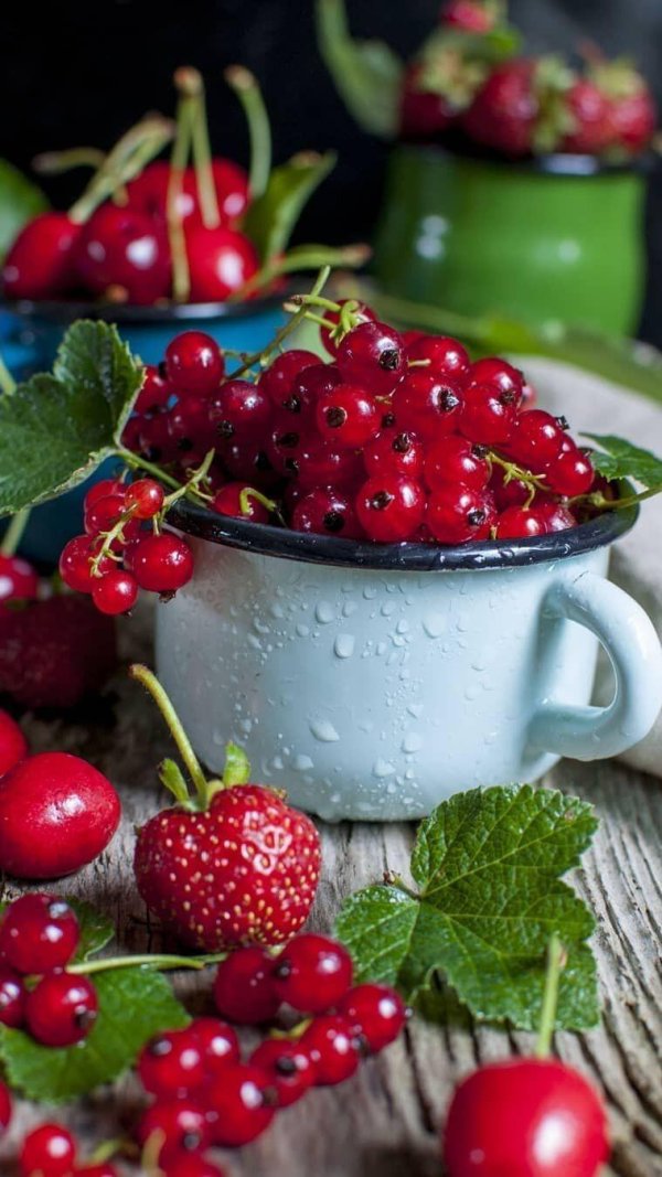 красная смородина