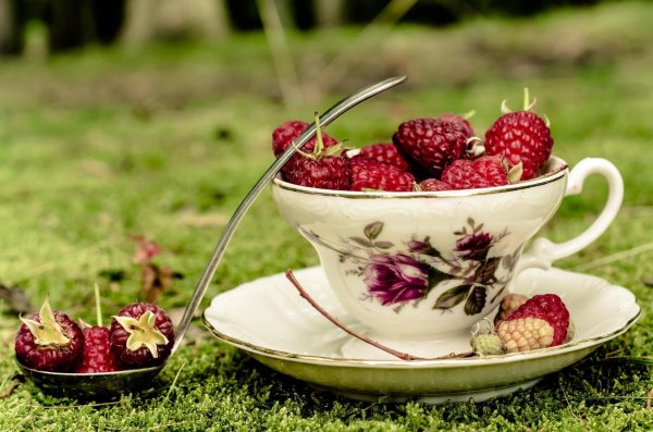 с добрым летним утром и хорошим днём красивые