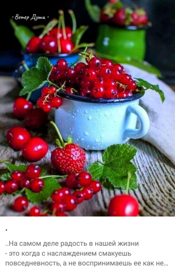 красная смородина