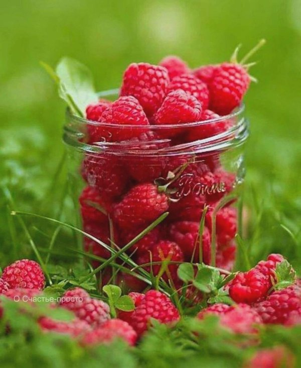 летние ягоды