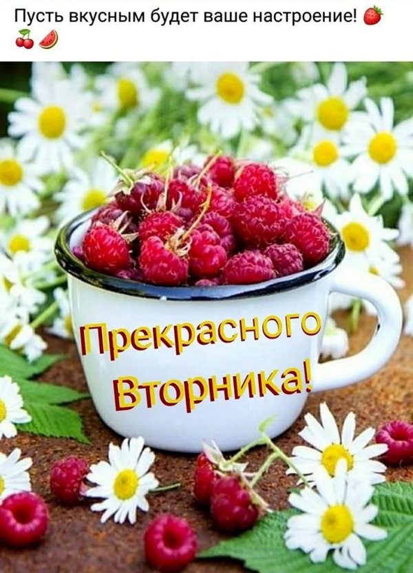 утра доброго летнего