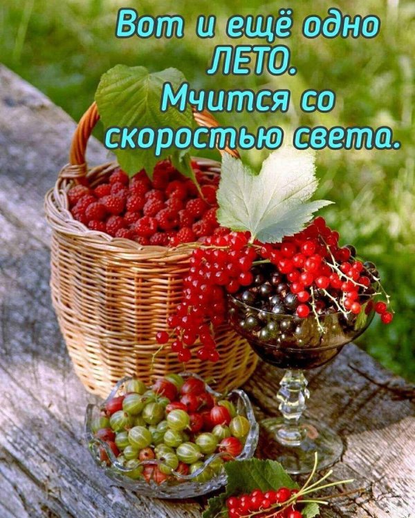 лето ягоды