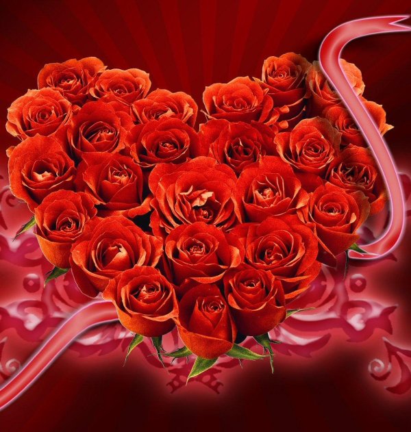 сердце из роз