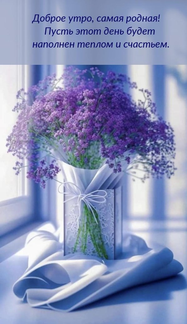 утренняя сирень