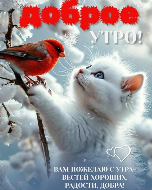 доброе утро зимнего воскресенья