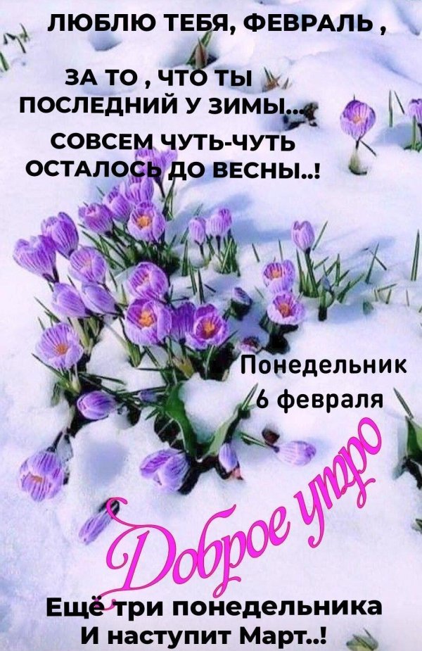 доброго понедельника весна