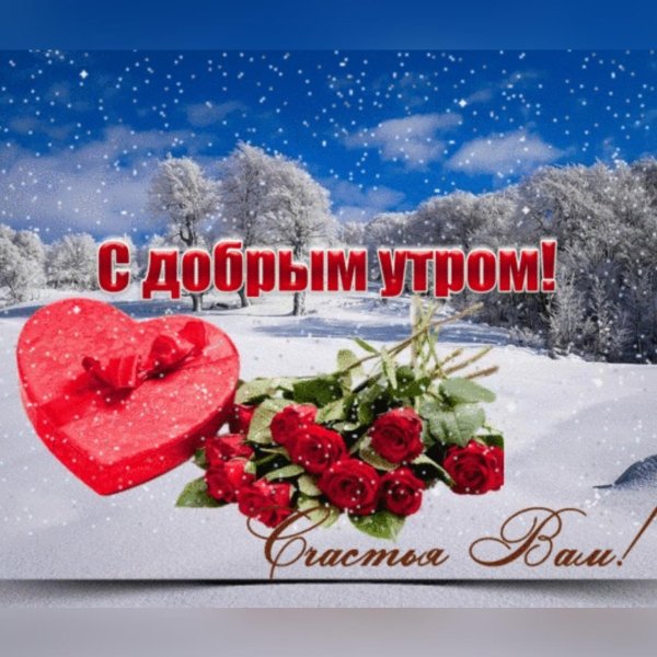 открытка с зимними цветами