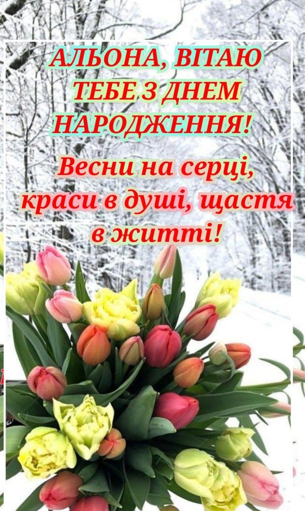 букет тюльпан