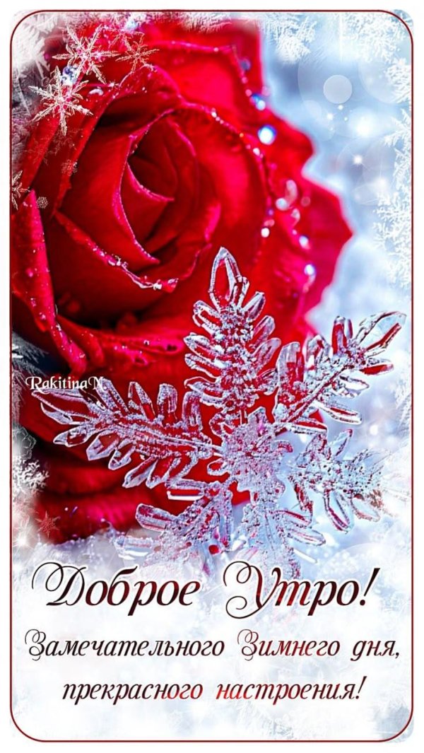 доброе утро праздник