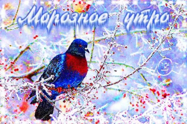 зимнее утро открытка