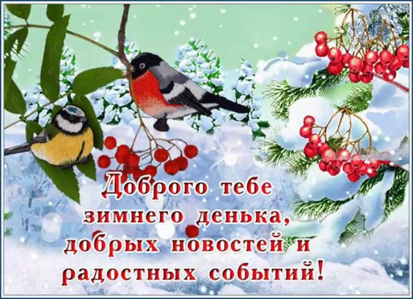 доброго зимнего денька