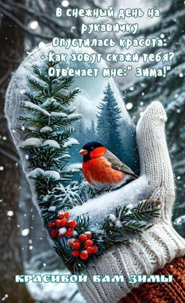 зимнего доброго утра