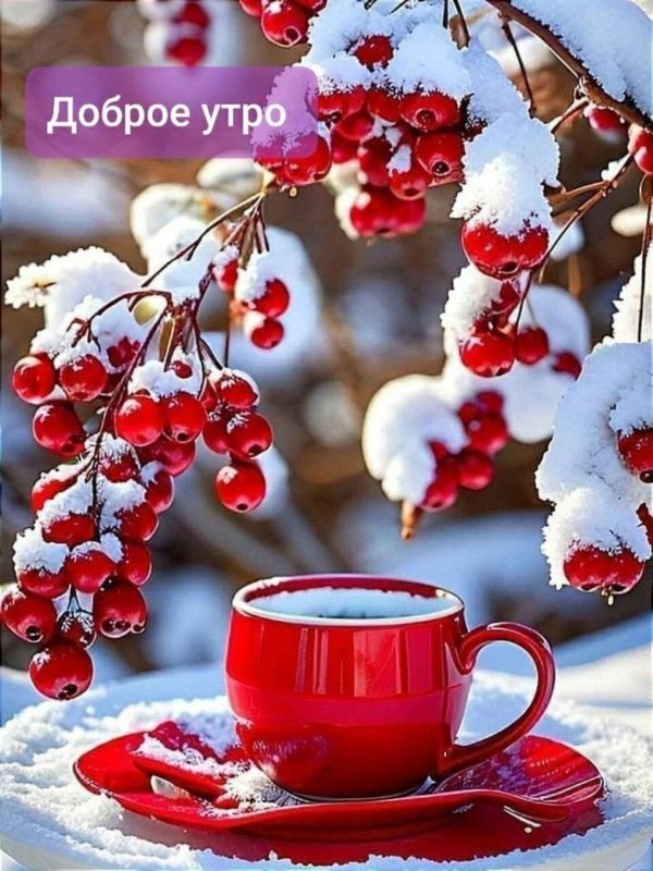 зима доброе утро