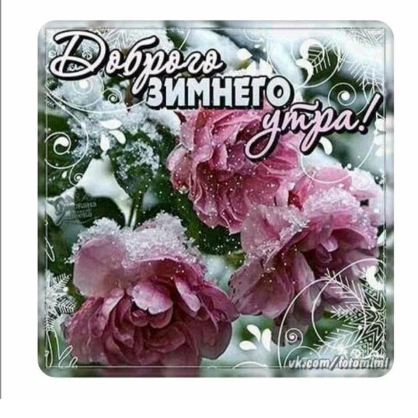 красивое поздравление с зимним утром