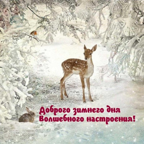 доброго зимнего дня
