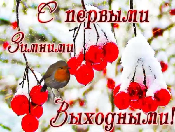 зимних выходных