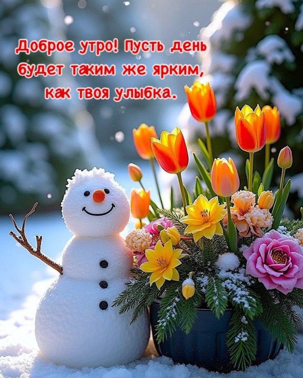 добрая зимнее утро