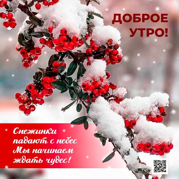 снег доброе утро