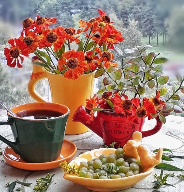 чудесного летнего утра