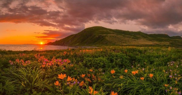 остров итуруп природа