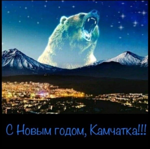 камчатка медведи