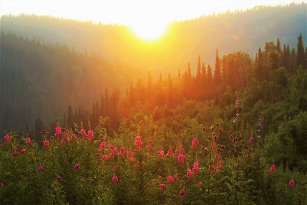 тайга кузнецкий алатау