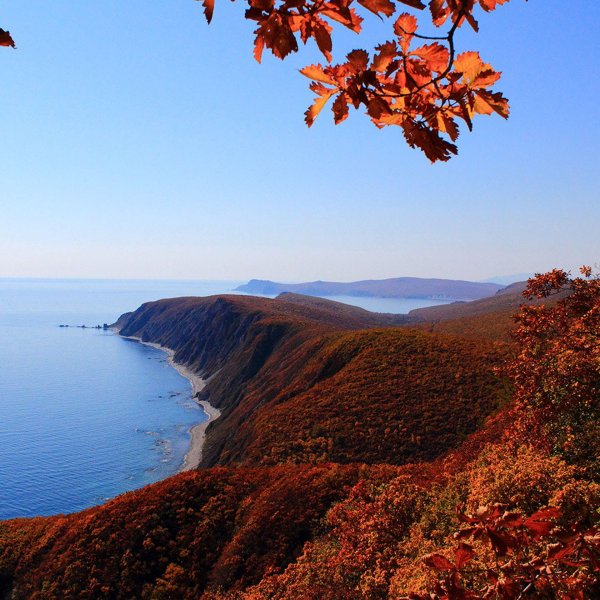 сихотэалинский заповедник