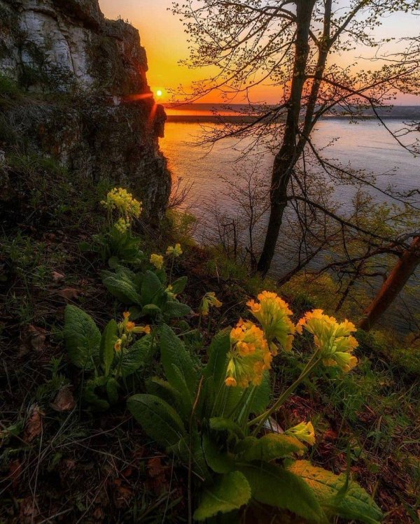 Доброе утро дальний восток