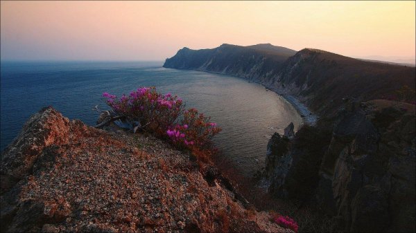 лето магадан природа