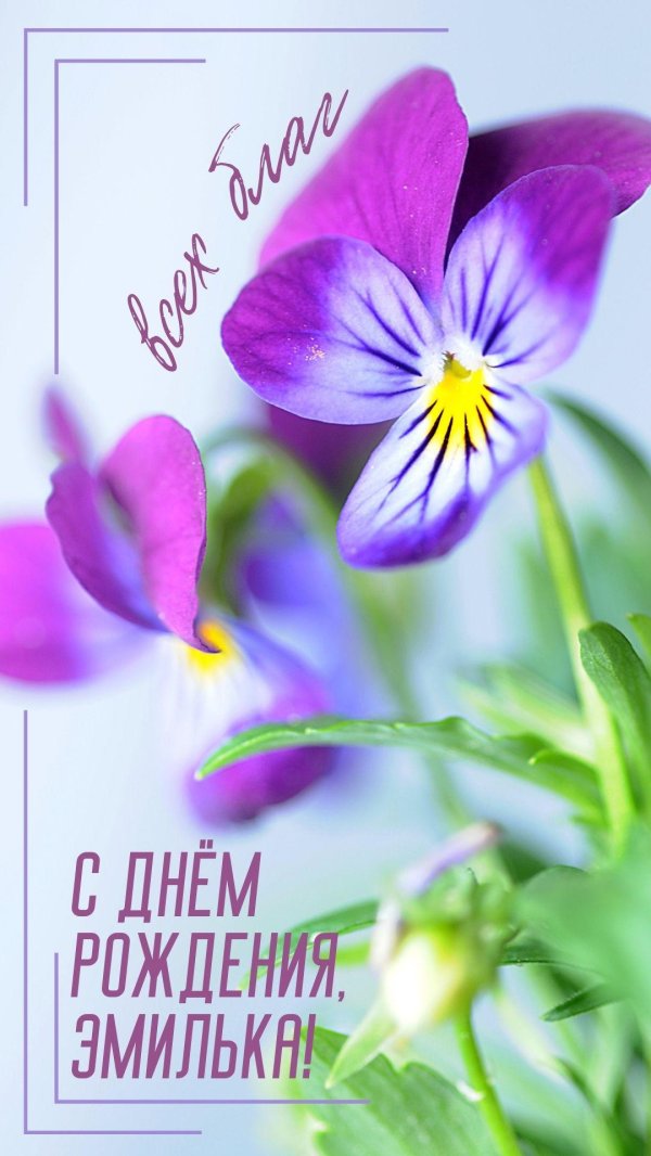 поздравление с днём рождения эмма