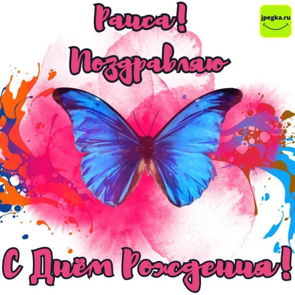 привет бабочки