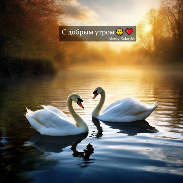 открытка с добрым утром красивая