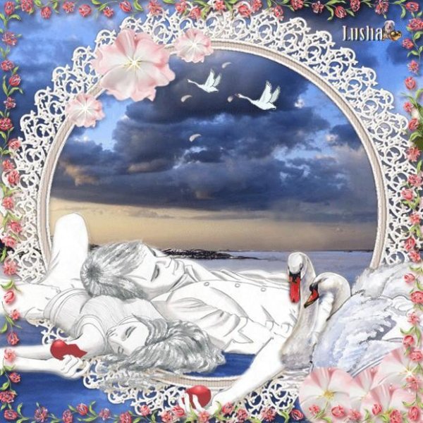 любовь моя как лебедь белая