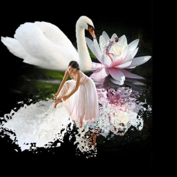 лебединое озеро бaлeт