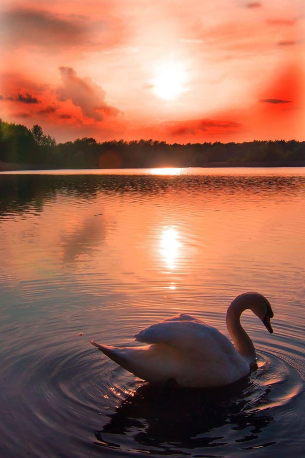 чудесный закат