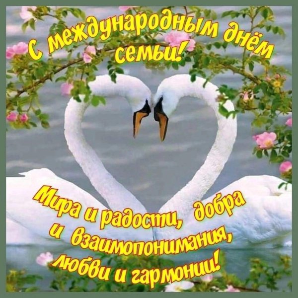 пара лебедей