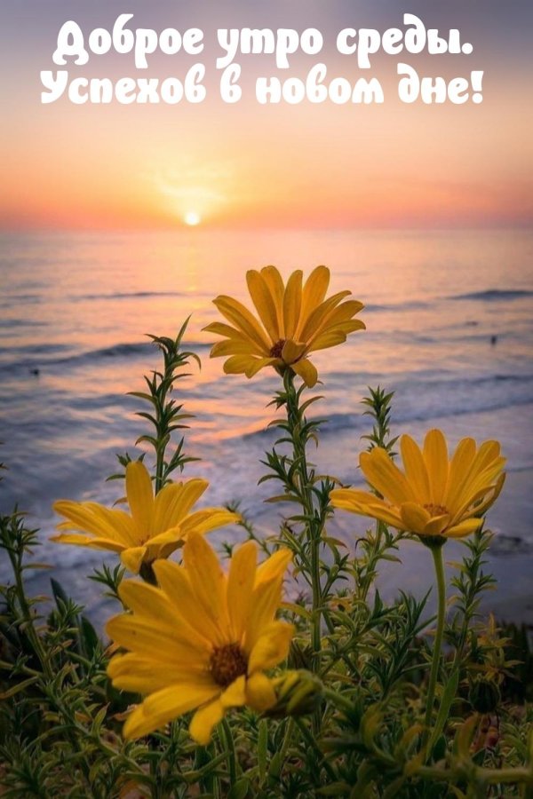 с добрым утром природа