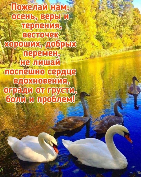 озеро лебедь