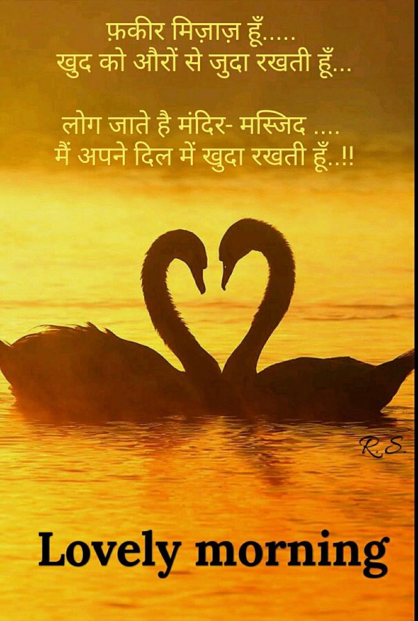 лебеди сердце