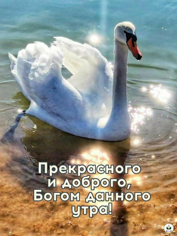 доброе утро доброе утро