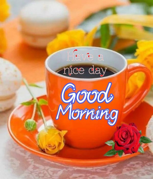 hi привет good morning